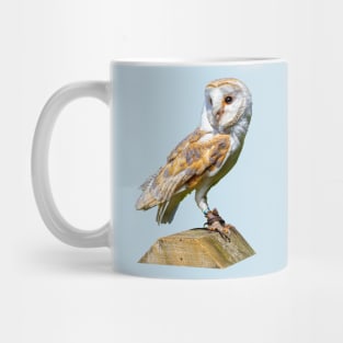 Barn owl on a gatepost Mug